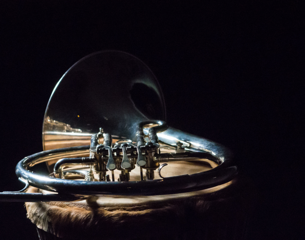A regal image of a French horn, gleaming in polished brass.