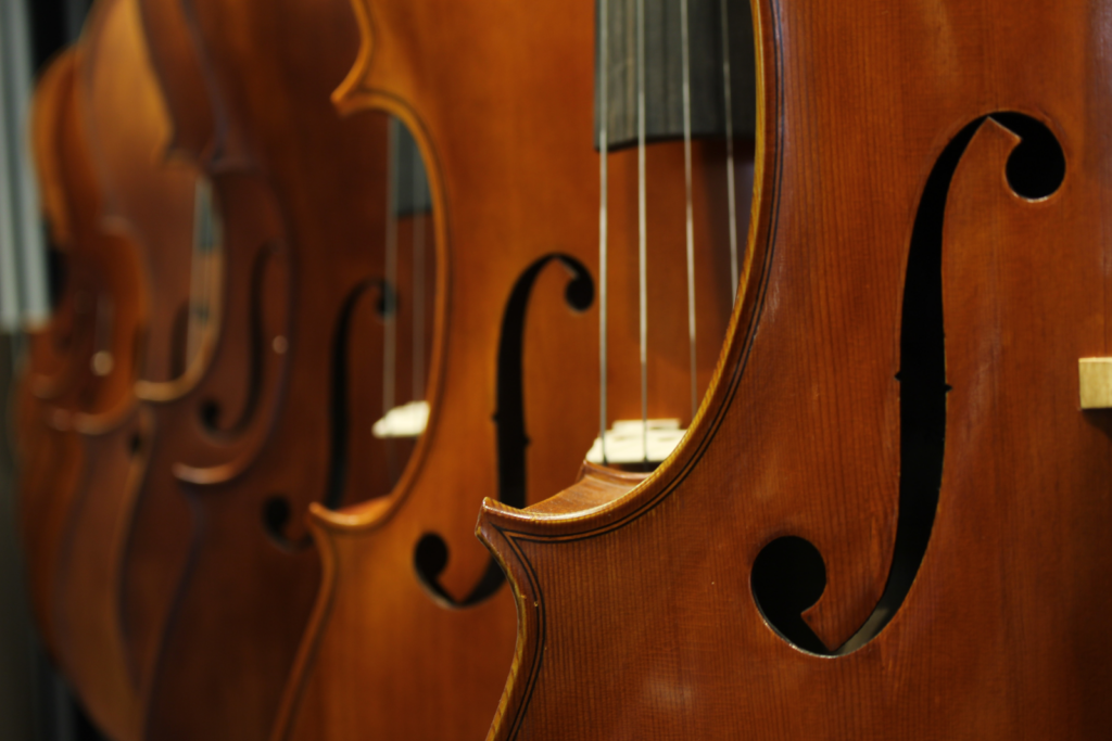 A striking image of a double bass.