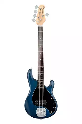 Sterling by Music Man Ray5 Bass Guitar