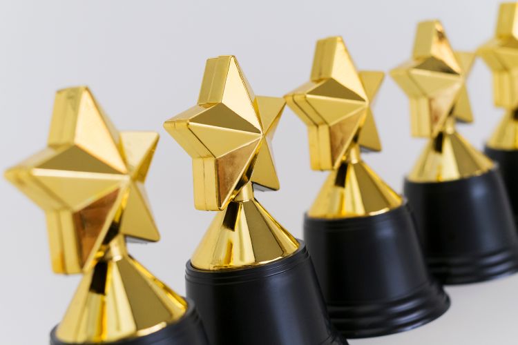 A row of trophies in the shape of stars.