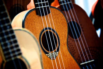 A close up of various acoustic guitars.