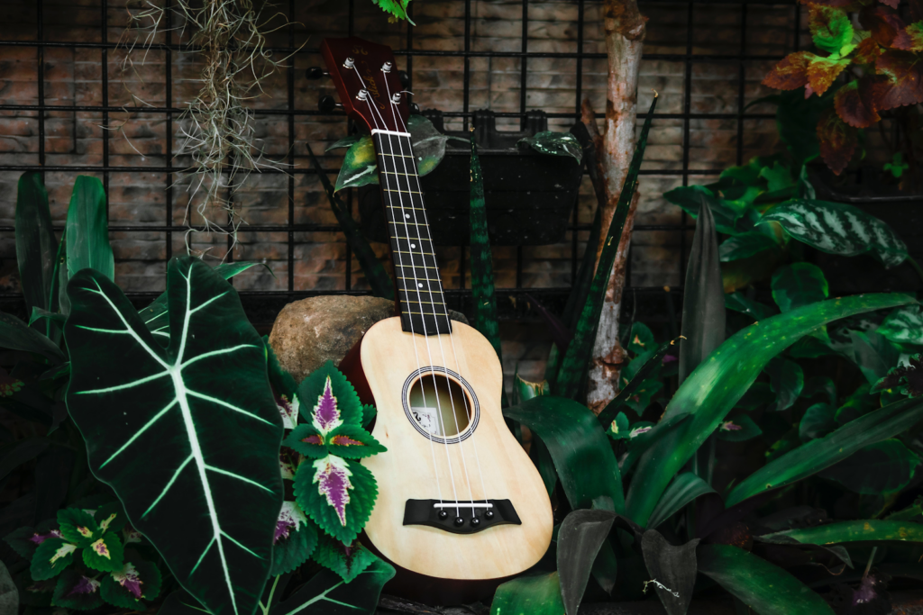 A parlor guitar being displayed in a garden.