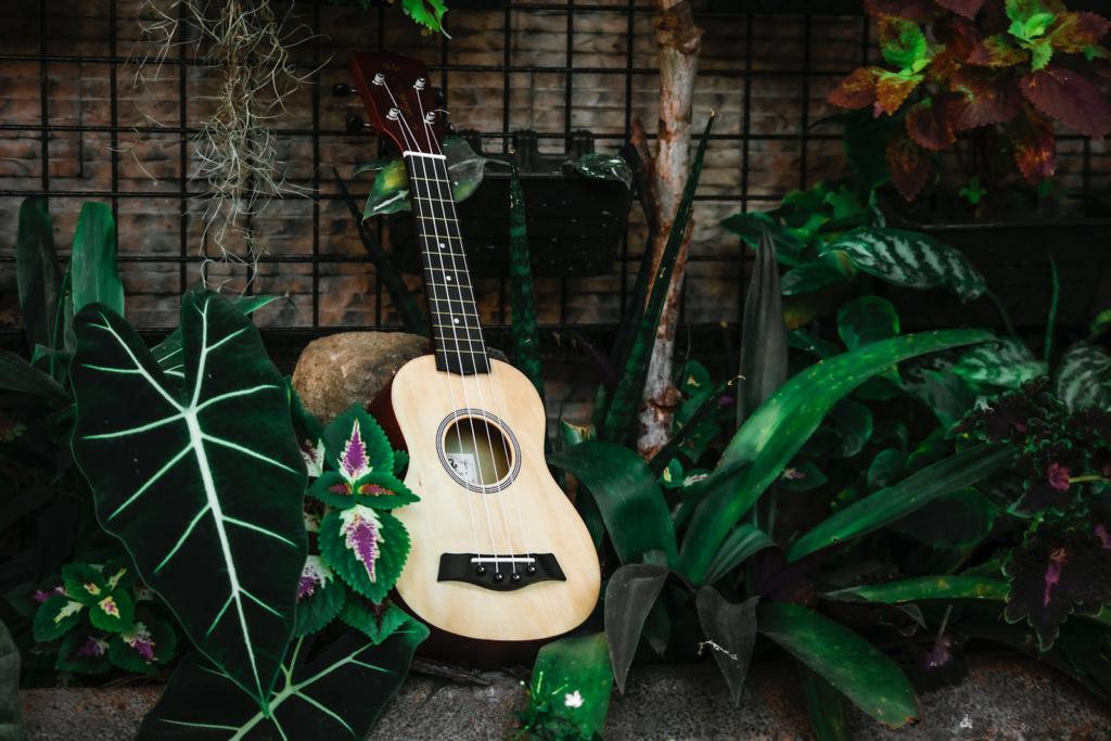 A small guitar photographed outside.