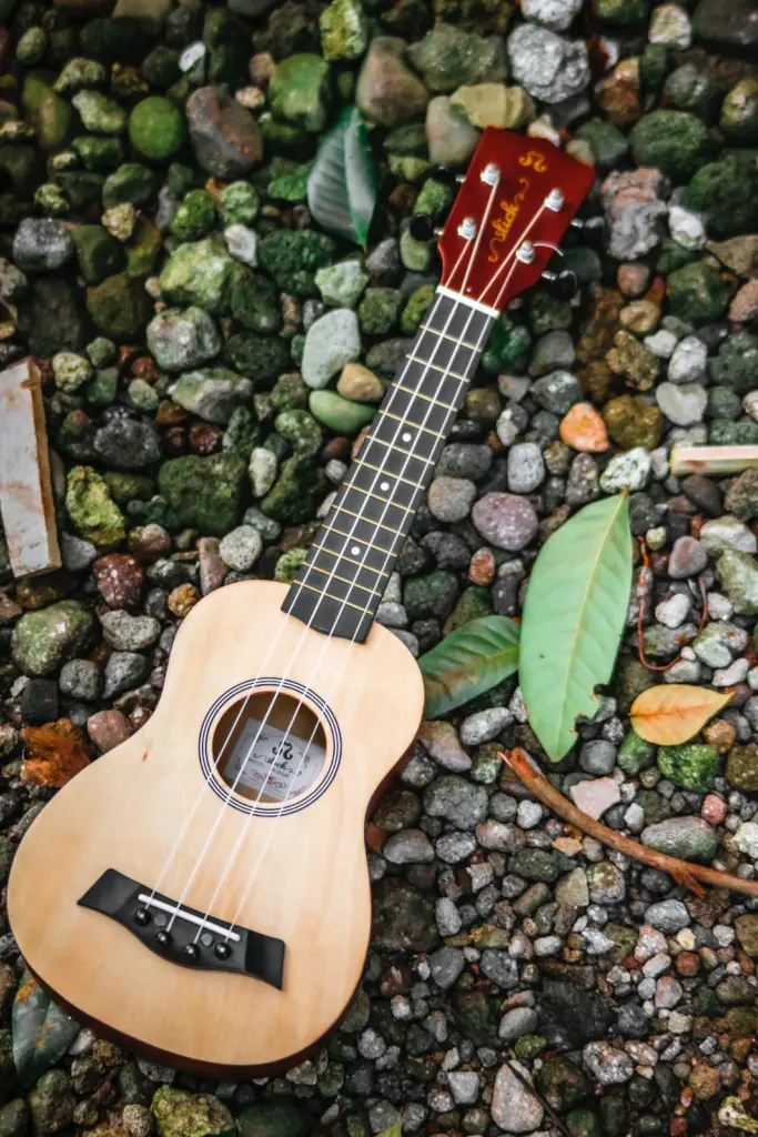 Parlor guitar in a garden