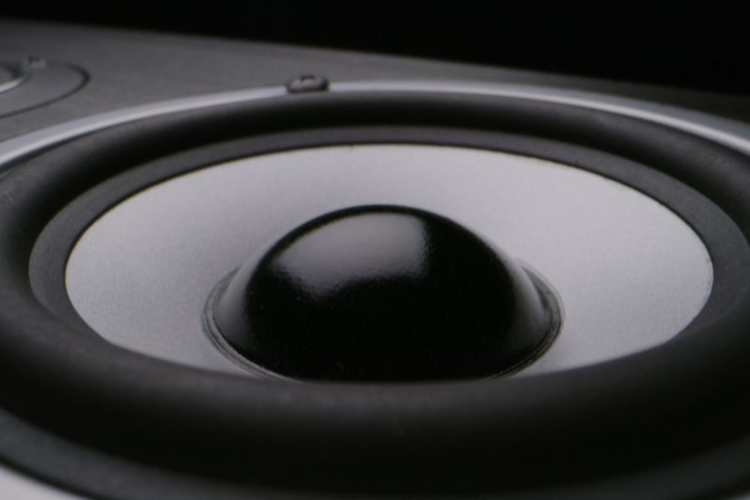 A close up image of a subwoofer.